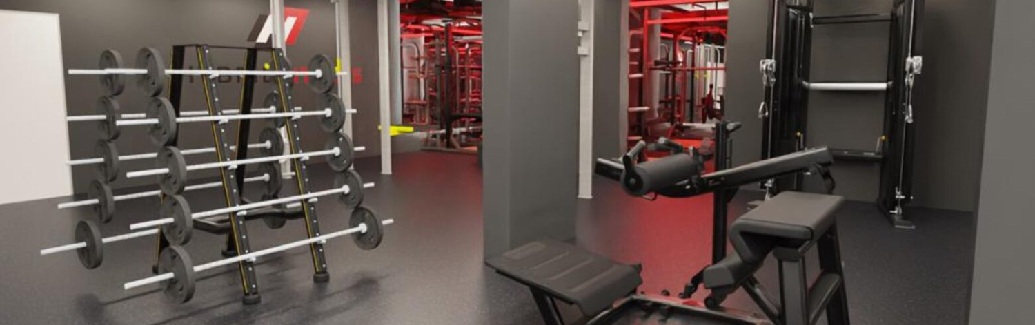 Hybrid Fitness Putney